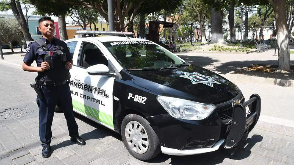 Seguridad, policía